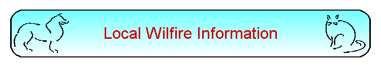 Local Wilfire Information