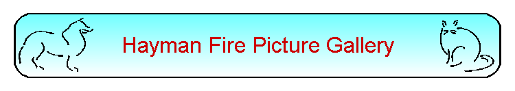 Hayman Fire Picture Gallery