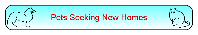 Pets Seeking New Homes