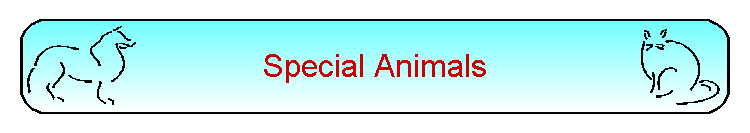 Special Animals
