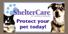 Shelter Care